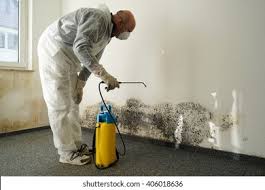 Professional Mold Removal Services in Crownpoint, NM